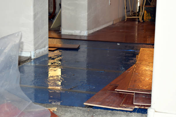 Professional Basement Flood Cleanup technician working in White City, UT